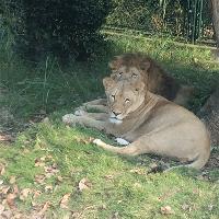 长沙生态动物园19200