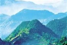 重庆百里竹海风景名胜区怎么玩？附游玩路线