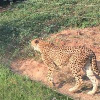 长沙生态动物园19194