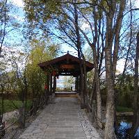 拉市海湿地公园观鸟休闲屋