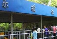 上海共青国家森林公园：欢乐碰碰车