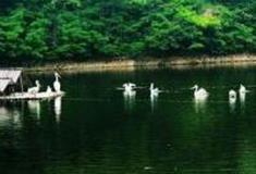 大连普兰店二龙山国家森林公园怎么玩？附游玩路线