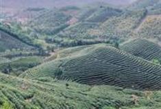 湖州霞幕山景区怎么玩？附游玩路线