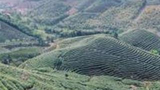 湖州霞幕山景区怎么玩?附游玩路线 湖州霞幕山景区怎么玩?附游玩路线