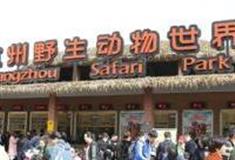 杭州动物园怎么玩？附游玩路线
