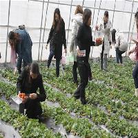 水高庄园中以科技农业示范园区