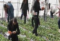 水高庄园：中以科技农业示范园区