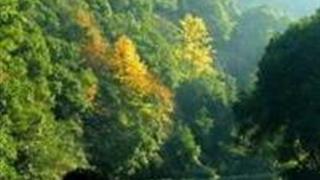 杭州葫芦湾瀑布怎么玩？附游玩路线