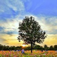 北京奥林匹克公园10267