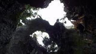 云中大漈：古柳杉