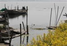 苏州莲花岛风景区怎么玩？附游玩路线