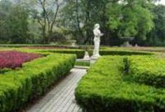 桂林植物园怎么玩？附游玩路线