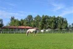 北京东方马汇马术俱乐部怎么玩？附游玩路线