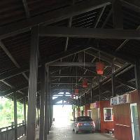 长沙洋湖湿地公园18304