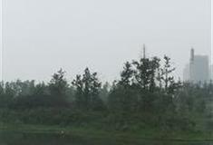 长沙洋湖湿地公园：桃花岛