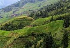 温州龙脊古道怎么玩？附游玩路线