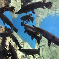 江苏张家港梦幻海洋王国19673