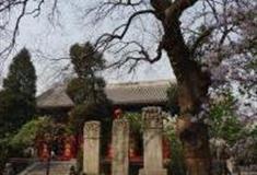北京法源寺怎么玩？附游玩路线