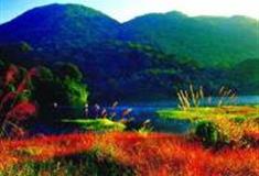 南宁石门森林公园怎么玩？附游玩路线