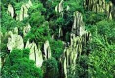 重庆奥陶纪地质公园怎么玩？附游玩路线