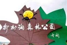 承德柳树沟森林公园怎么玩？附游玩路线