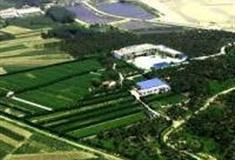 日照御海湾生态观光茶园怎么玩？附游玩路线