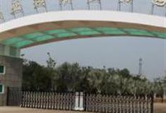 湛江南亚热带植物园怎么玩？附游玩路线