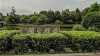 德阳苏绵公园怎么玩？附游玩路线