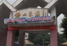 佛山乐园怎么玩？附游玩路线