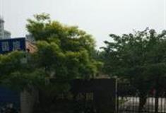 上海泗塘公园怎么玩？附游玩路线