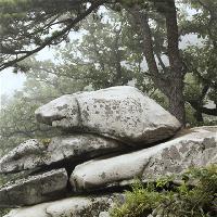 白马尖双蛙合鸣