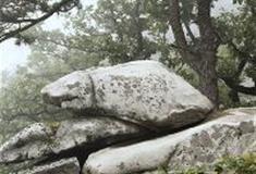 白马尖：双蛙合鸣