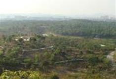 深圳聚龙山生态公园怎么玩？附游玩路线