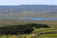 牛鱼嘴原始生态风景区：古松林