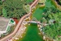 成都新华公园怎么玩？附游玩路线