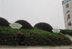 宣城府山广场怎么玩？附游玩路线