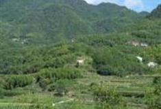 杭州畲族民俗村落景区怎么玩？附游玩路线