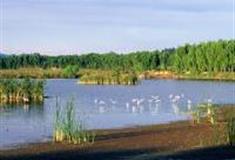 北京汉石桥湿地自然保护区怎么玩？附游玩路线