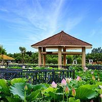 三水荷花世界10034