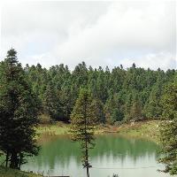 仙女山旅游度假区18983