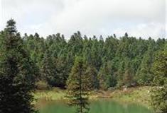 仙女山旅游度假区：仙女池