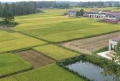 六安牌楼村旅游景区怎么玩？附游玩路线