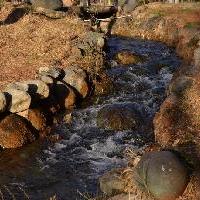 丽江观音峡景区19282