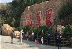 深圳凤凰山森林公园怎么玩？附游玩路线