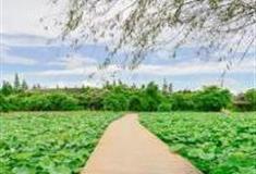 珠海十里莲江怎么玩？附游玩路线