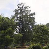 广东第一峰旅游风景区18390