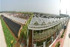 水高庄园：温室区