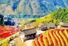 桂林布尼梯田·加乌瀑布景区怎么玩？附游玩路线