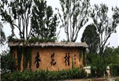 池州杏花村文化旅游区怎么玩？附游玩路线