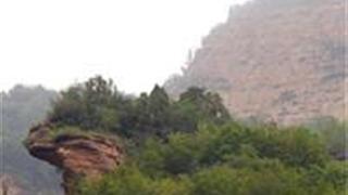 莲花岩：蜥蜴望月